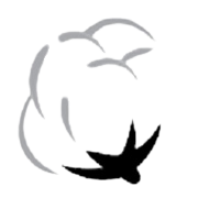 Ashnoor Textile Mills Ltd logo