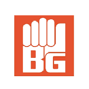 Bedmutha Industries Ltd logo