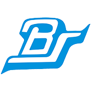 Bharat Seats Ltd logo