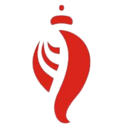 Birla Cotsyn India Ltd logo