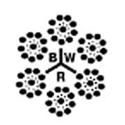 Bombay Wire Ropes Ltd logo