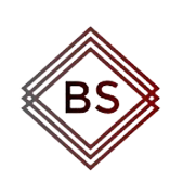 Bridge Securities Ltd logo