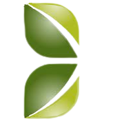 Capital Trust Ltd logo