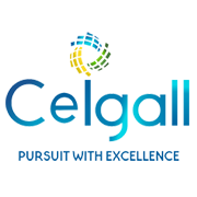 Ceigall India Ltd logo