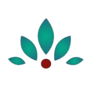 CRP Risk Management Ltd logo