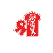 Damodar Industries Ltd logo