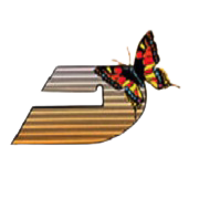 Dhanlaxmi Fabrics Ltd logo