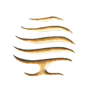 Eforu Entertainment Ltd logo