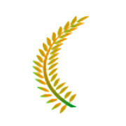 Equippp Social Impact Technologies Ltd logo