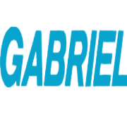 Gabriel India Ltd logo