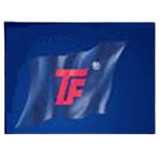 Hindoostan Mills Ltd logo