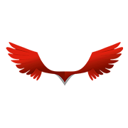 Kati patang Lifestyle Ltd logo