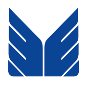 Maruti Securities Ltd logo