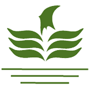 Morarka Finance Ltd logo