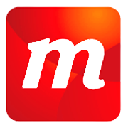 Majestic Research Services & Solutions Ltd logo