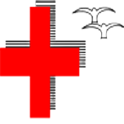 N G Industries Ltd logo