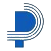 Patspin India Ltd logo