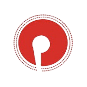 Pioneer Embroideries Ltd logo