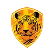 Rajputana Industries Ltd logo