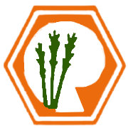 Rana Sugars Ltd logo