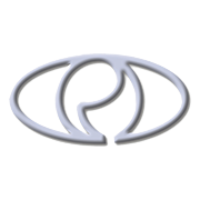 Rasandik Engineering Industries India Ltd logo