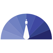 Reliance Chemotex Industries Ltd logo