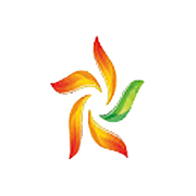 Ravindra Energy Ltd logo