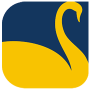 New Swan Multitech Ltd logo