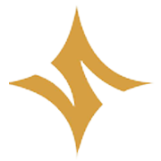 Swarnsarita Jewels India Ltd logo