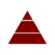 Team India Guaranty Ltd logo