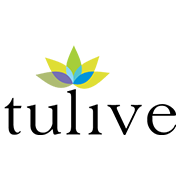 Tulive Developers Ltd logo