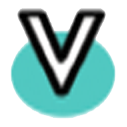 Vinny Overseas Ltd logo