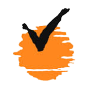 Virat Industries Ltd logo